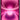 71RYLnwdgiL._AC_SL1500_